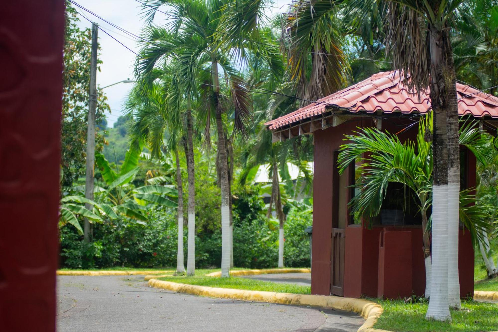 Selva Color - Forest & Beach Ecolodge Quebrada Ganado Экстерьер фото