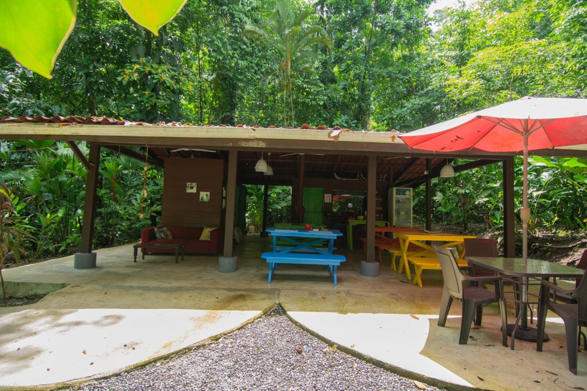 Selva Color - Forest & Beach Ecolodge Quebrada Ganado Экстерьер фото