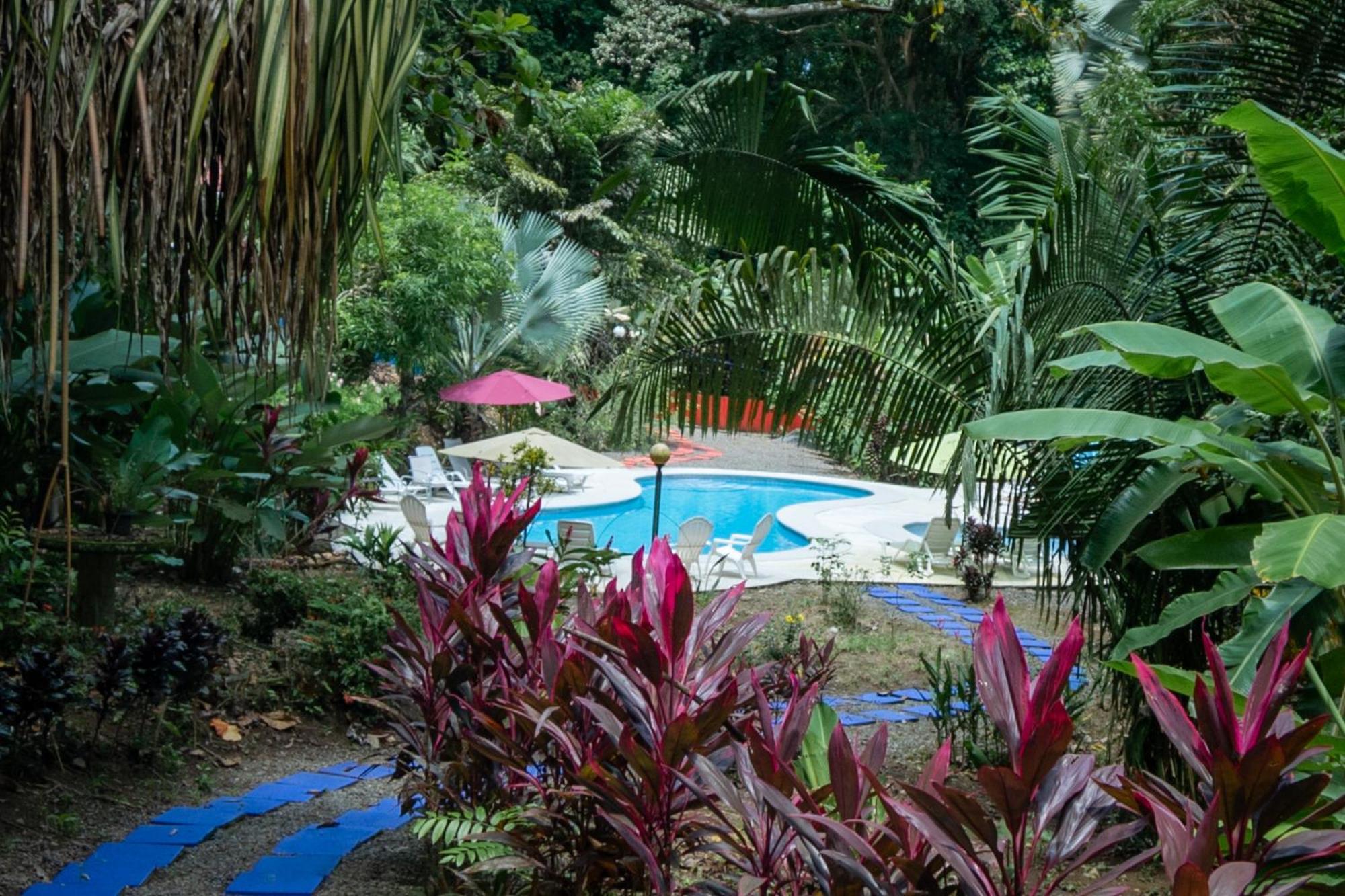 Selva Color - Forest & Beach Ecolodge Quebrada Ganado Экстерьер фото