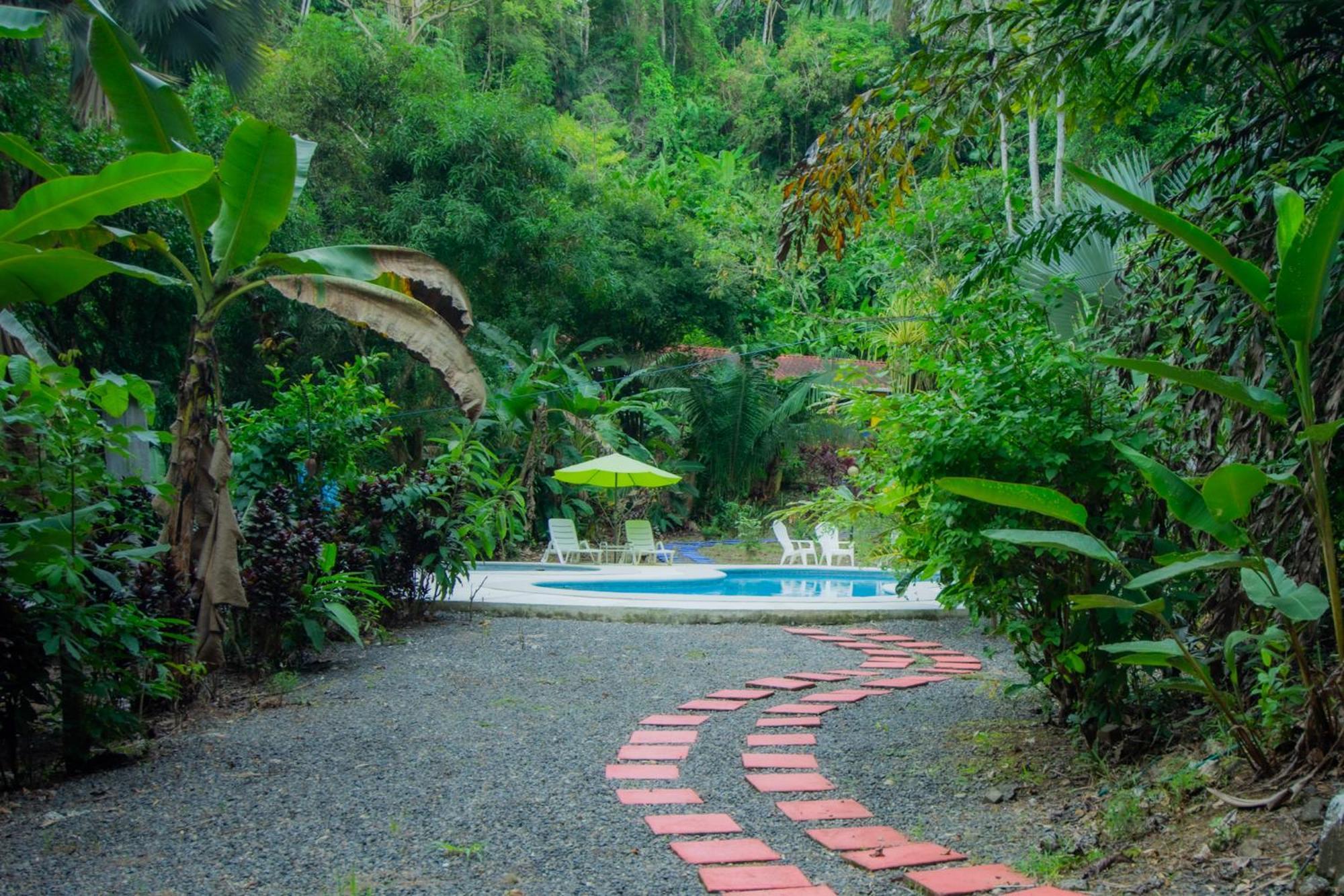 Selva Color - Forest & Beach Ecolodge Quebrada Ganado Экстерьер фото