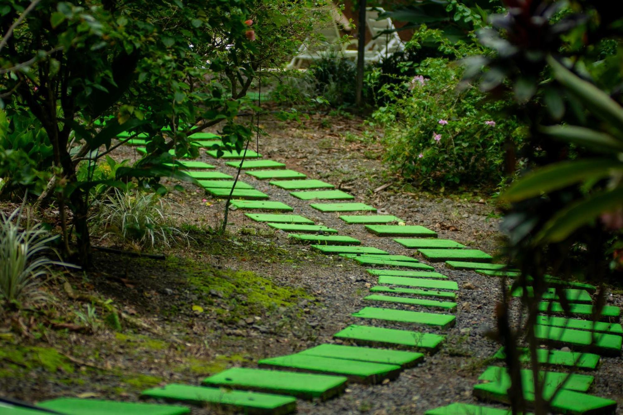 Selva Color - Forest & Beach Ecolodge Quebrada Ganado Экстерьер фото