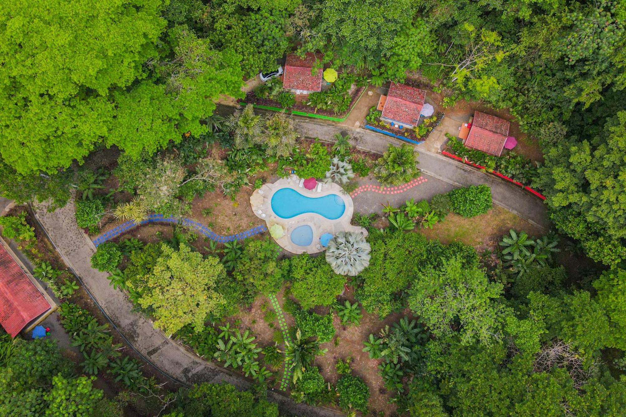 Selva Color - Forest & Beach Ecolodge Quebrada Ganado Экстерьер фото