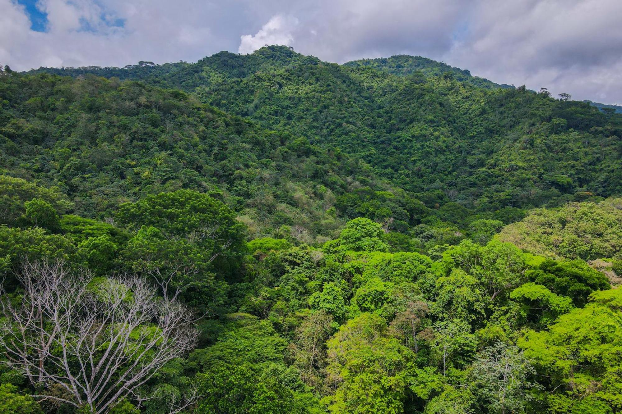Selva Color - Forest & Beach Ecolodge Quebrada Ganado Экстерьер фото