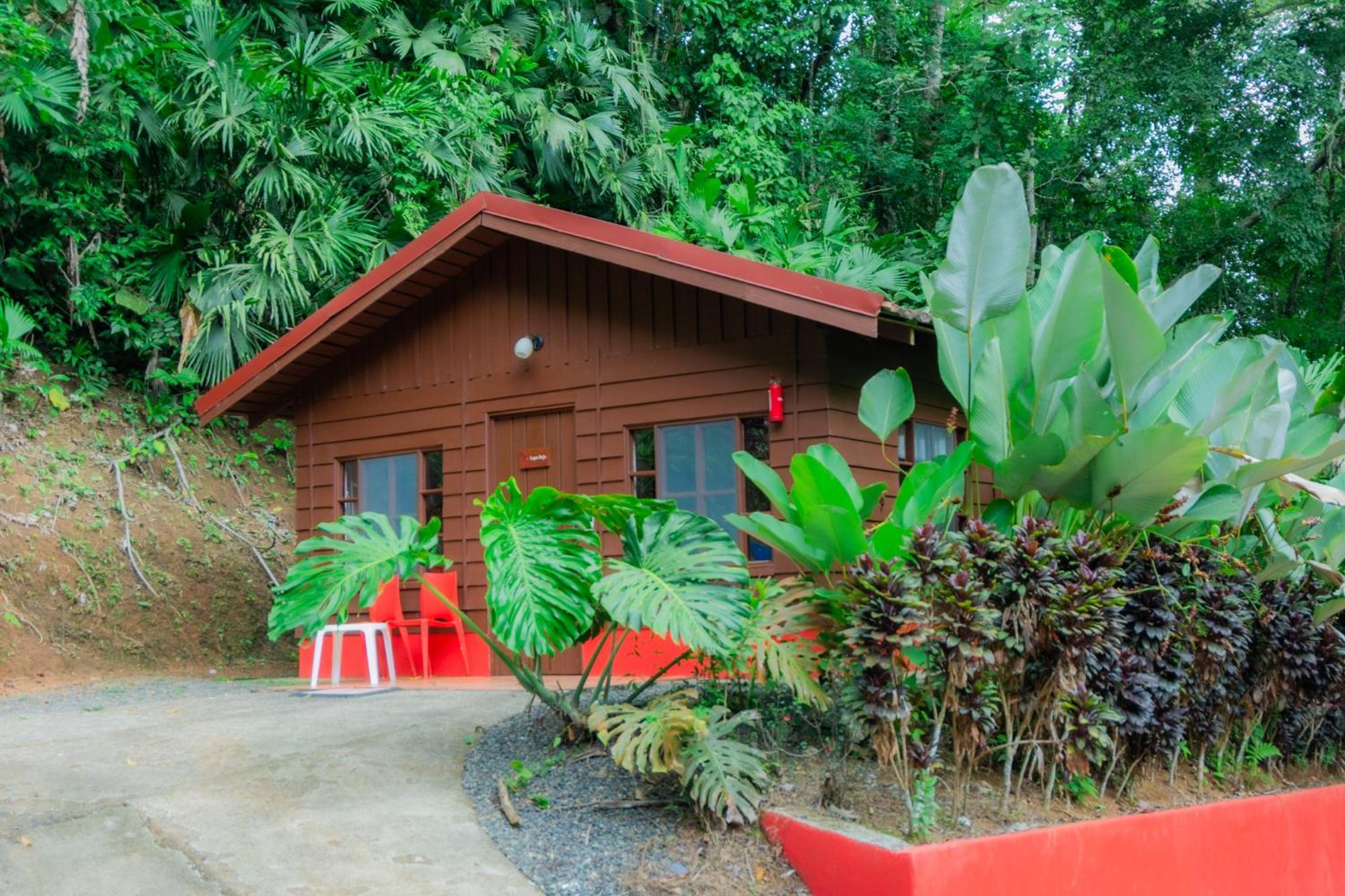 Selva Color - Forest & Beach Ecolodge Quebrada Ganado Экстерьер фото