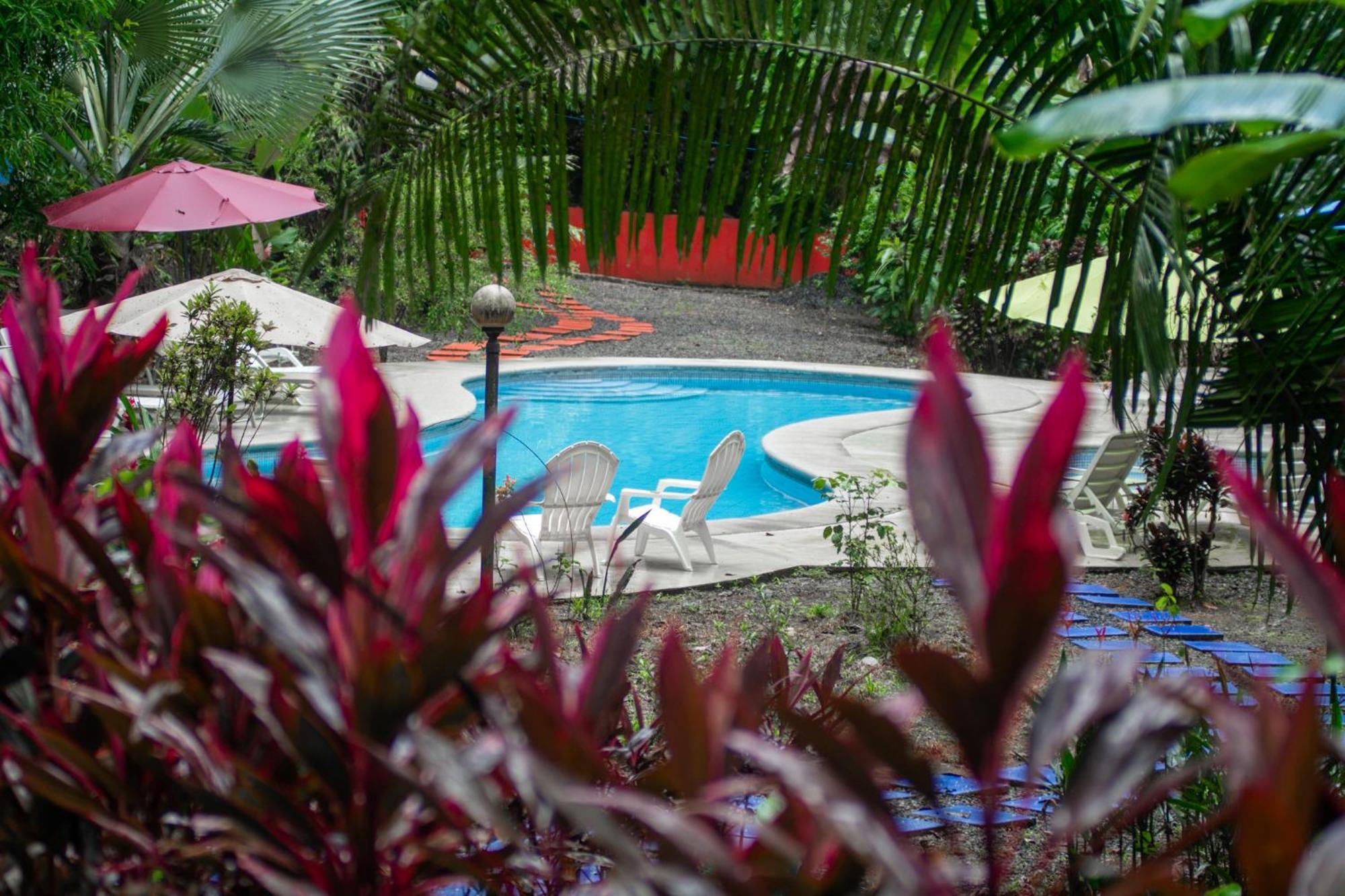 Selva Color - Forest & Beach Ecolodge Quebrada Ganado Экстерьер фото